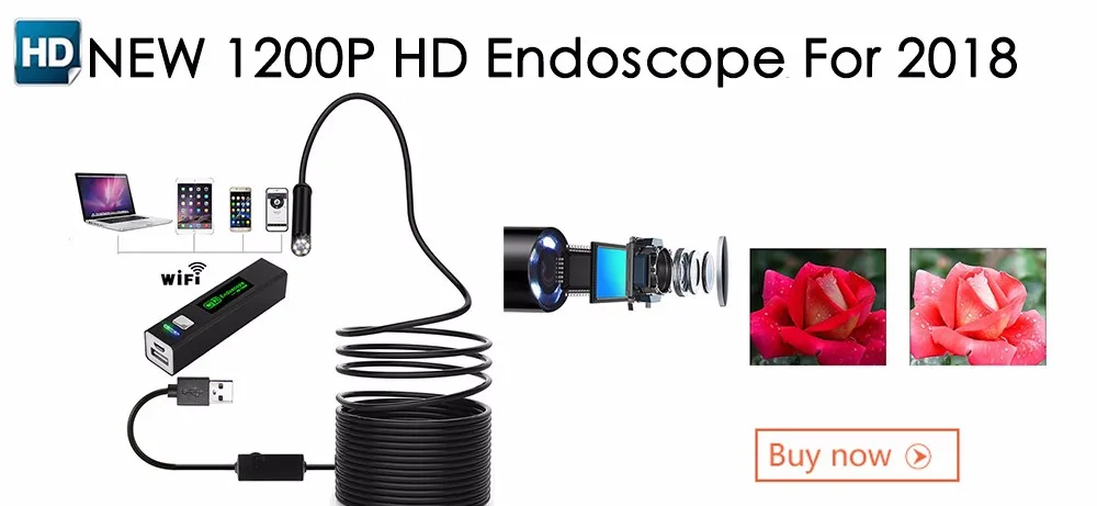 1200P