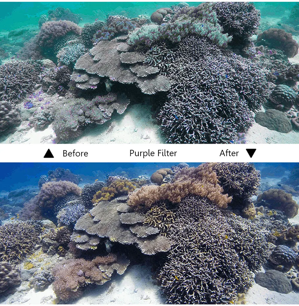 Waterproof Dive Filter 4 Color Diving Filter Red Purple Yellow Gray Lens Cap Lens Protector for Gopro Hero 4 Session 5 Session Cube (8)
