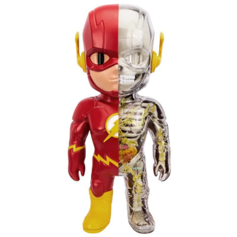 

4D XXRAY Justice League The Flash Original Fake BRIAN Anatomy BFF Street Art Plastic 26CM Action Figure Model Toy BOX Z1464