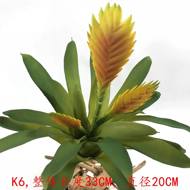 K6