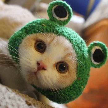 

Handmade Woven Pet Dog Hats Frog Shape Cat Hat Green Cute Hairband Dog Cap Dog Accessories