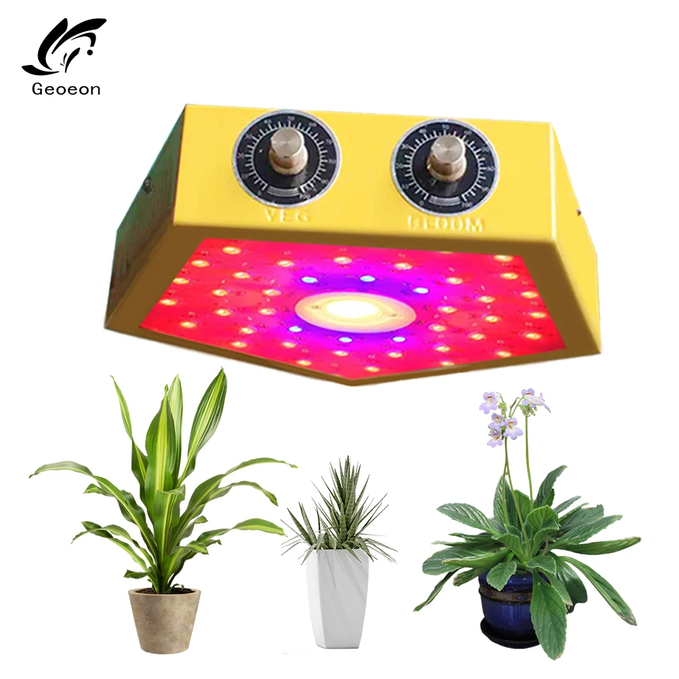 

Geoeon 2019 New 1000W led plant growing lamp dimmable Indoor Hydroponic Greenhouse LED Plant All Stage grow light