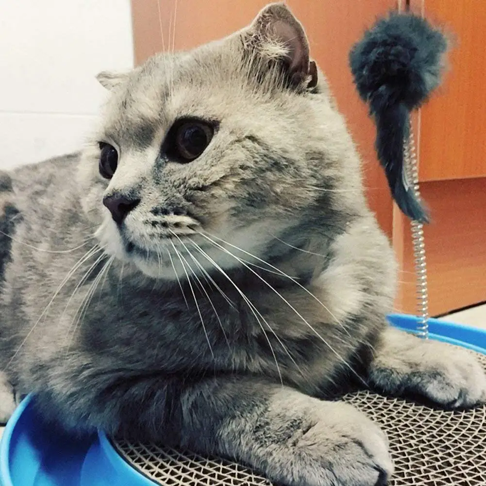 Cat Turbo Scratcher Toy Cat Turbo To Post Pad Interactive Training Exercise Mouse Play Toy with Turbo and Ball Cat Turbo Scratcher Toy Cat Turbo To Post Pad Interactive Training Exercise Mouse Play Toy with Turbo and Ball