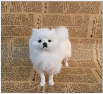 

WYZHY simulation Pomeranian birthday gift Christmas gift interior decoration teaching home model ornaments to send friends