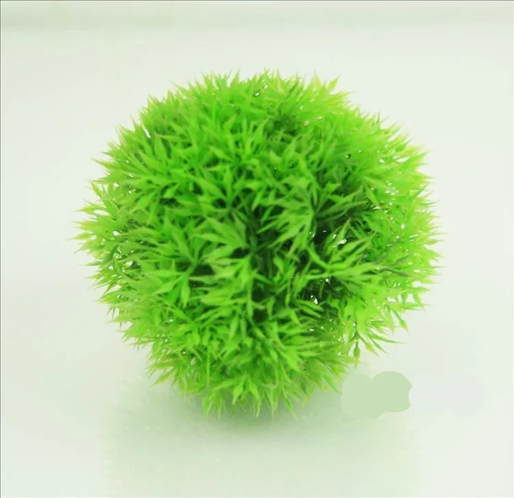 03_conew1