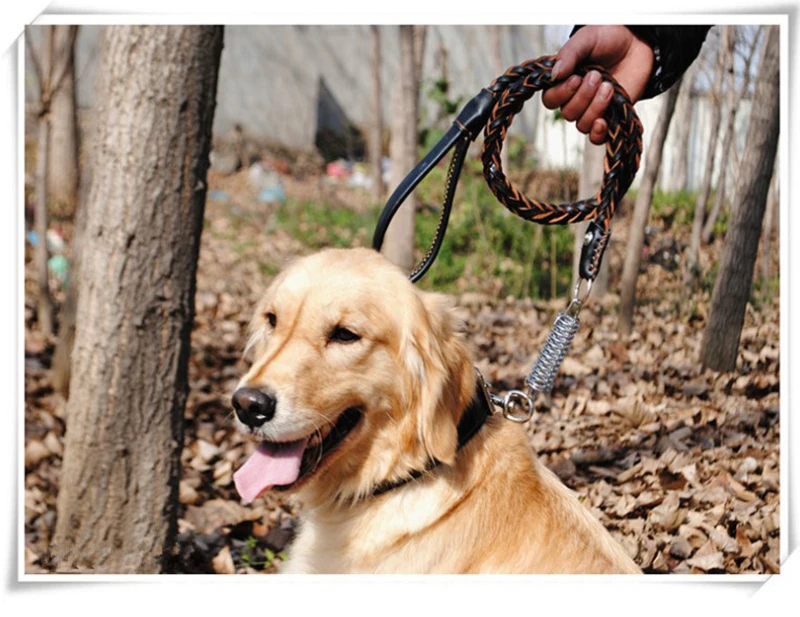 Hoge Kwaliteit lederen Grote Hondenriem Mode Grote Hond Leidt Pak Chain Verstelbare Trekkabel Kraag voor Huisdier Harnas