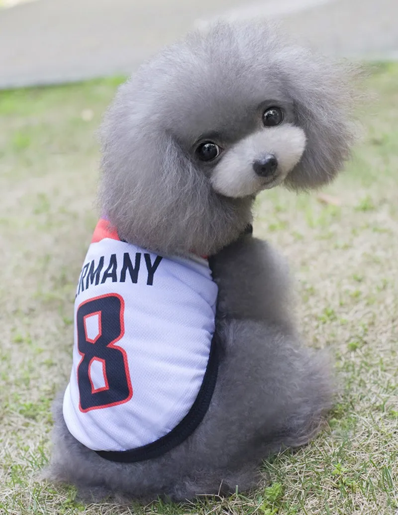 2111445092_973929501