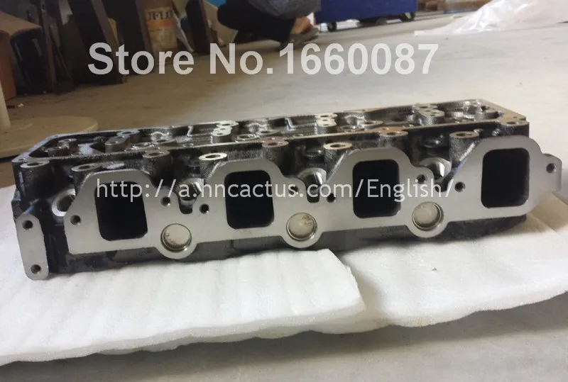 TD27 AMC909112 11039-43G03 20MM 2.7L cylinder head_3