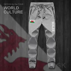 Wales Cymru Welsh WLS UK Мужские штаны для бега, спортивные штаны, спортивные штаны для фитнеса, флисовые, тактические, повседневные, Национальный