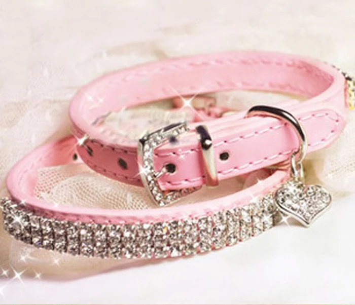 Hot dog collars coupon code