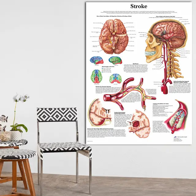 Anatomy And Pathology The World S Best Anatomical Charts