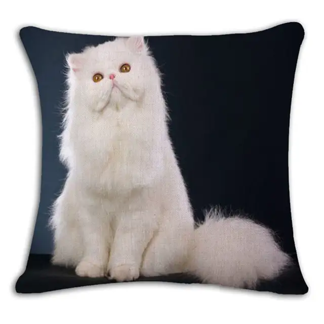 Tribu Nomade Nouveau Dessin Animé Beau Chat Noir Blanc