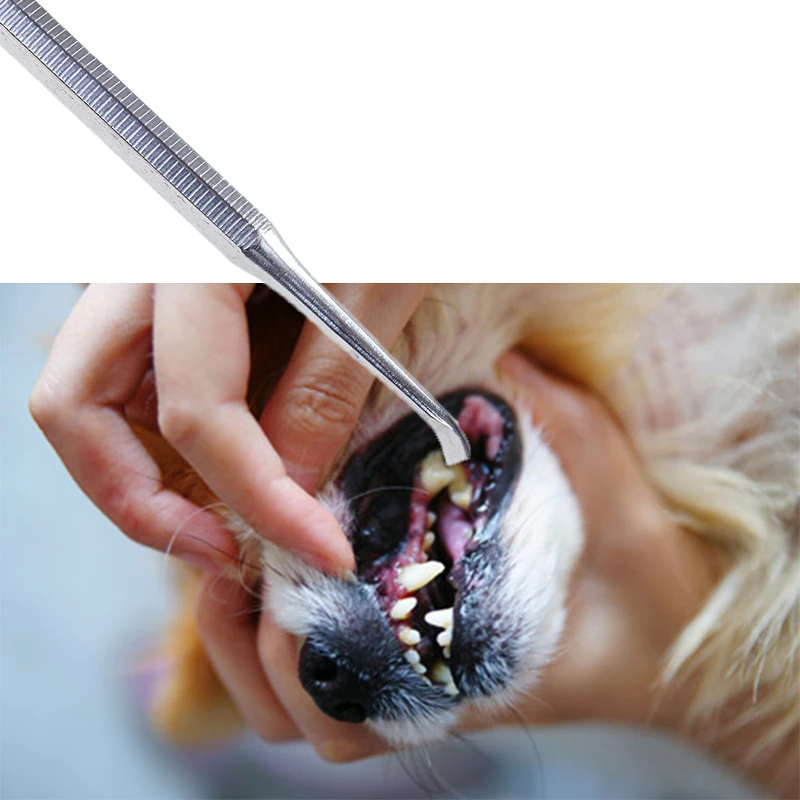 Pet Double Head Tartar Calculus Remover Scraper Dental Dog Tool Health