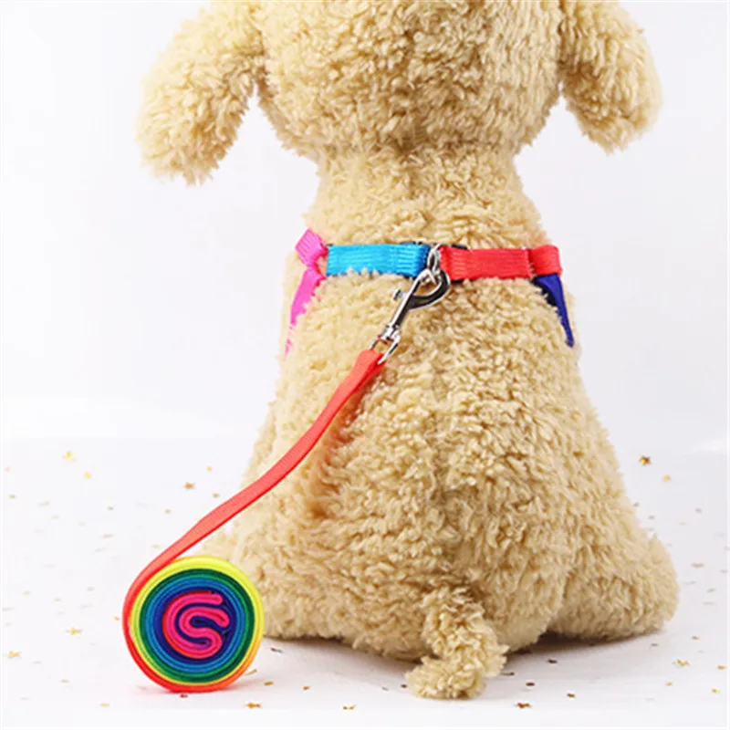 Colorful Nylon Dog Harness Adjustable Dog Leash Pet Lead Doggy