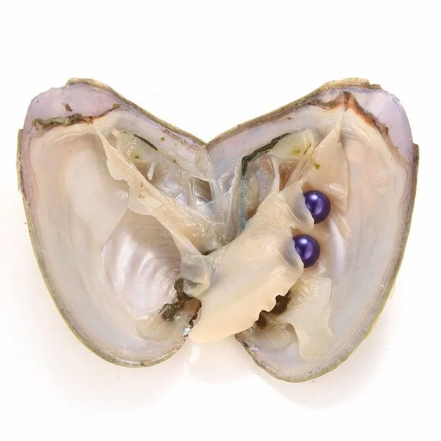 a-1 (56)