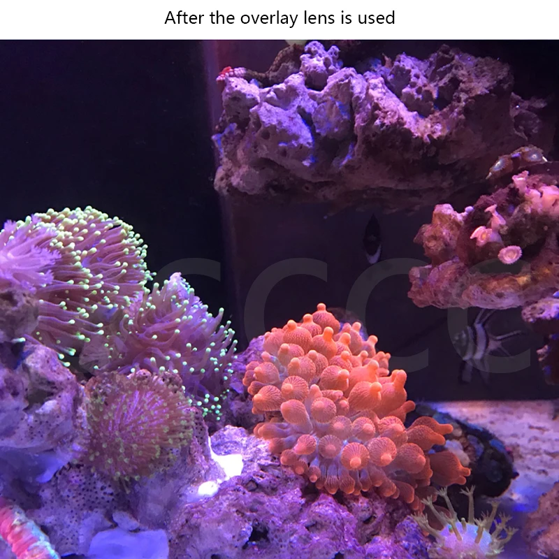 DS глубоководных 3 цилиндр фильтра для объектива с макро объектив зеркало кораллового цвета морской Бог. Макрообъектив Бога моря зеркало кораллового моря