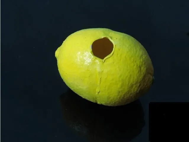 ScreenShot40