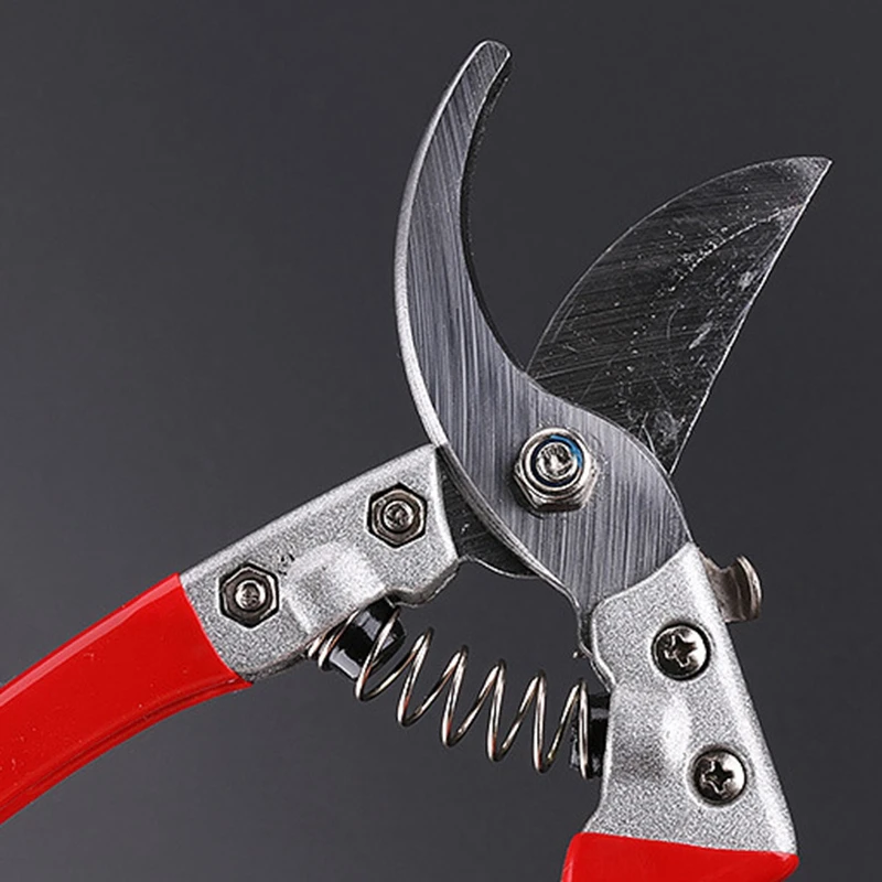 High Carbon Steel 8Inch/210Mm Gardening Secateurs Grafting Tool Fruit Tree Pruning Shears Garden Tools Bonsai Cutting Pruners High Carbon Steel 8Inch/210Mm Gardening Secateurs Grafting Tool Fruit Tree Pruning Shears Garden Tools Bonsai Cutting Pruners