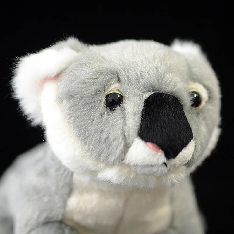 Милый медведь коала Australian fe австралийская мягкая фигурка моделирование прекрасная кукла настоящая жизнь плюшевые животные игрушка детский подарок коллекция