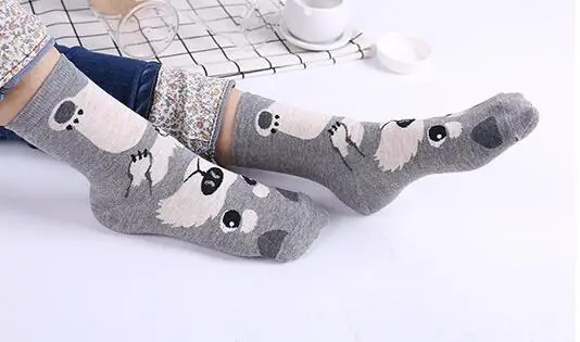 QQ20170718225134