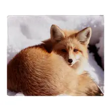 Red Sofa Throws Promotion For Promotional On Red Fox Soft Fleece Throw Blanket Super Printing Family Car And Sofa Throws Office Quilts