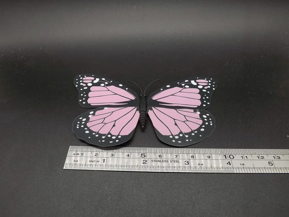 I242-Butterfly (9)