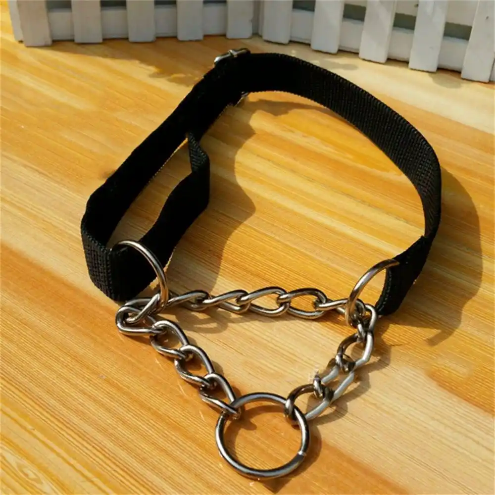 dog half choke collar