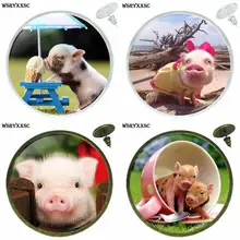 EJ глазурь стеклянная, кабошонная, бронзовая/серебряная/Золотая клипсы ушной крючок серьга-кнопка, винтажные женские украшения для девочек Подарки Маленькая свинья