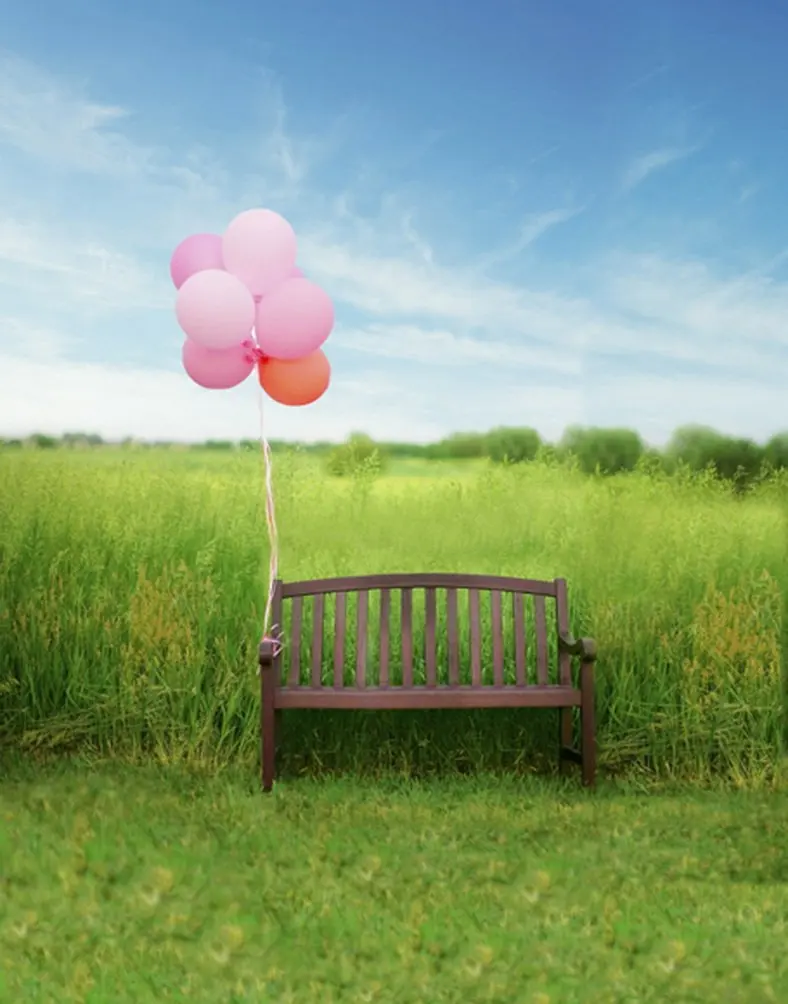 

5x7ft Lawn Chair Balloon Photography Backdrops Photo Props Studio Background