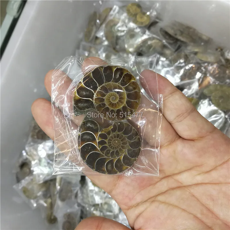 

6 Pieces Natural Rainbow Split Ammonite Fossil Cut in Half from Madagascar healing. Wholesales Price, Free Shipping