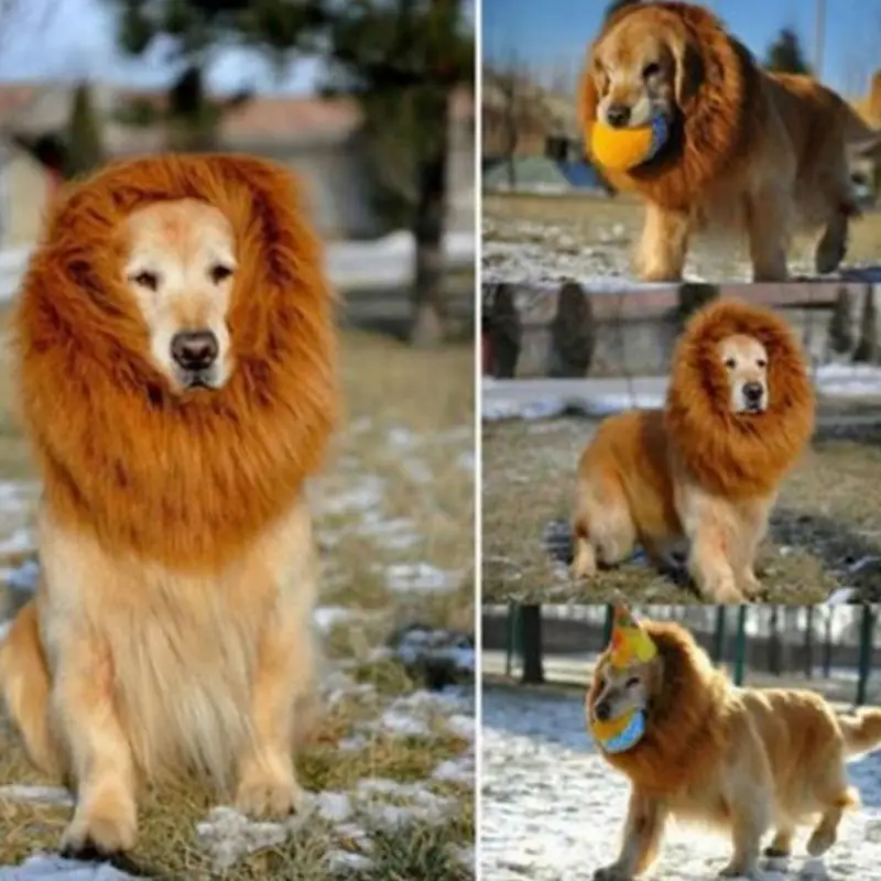 Pet Костюм Собака Lion парики Мане Фестиваль Волос вечернее изящное платье на
