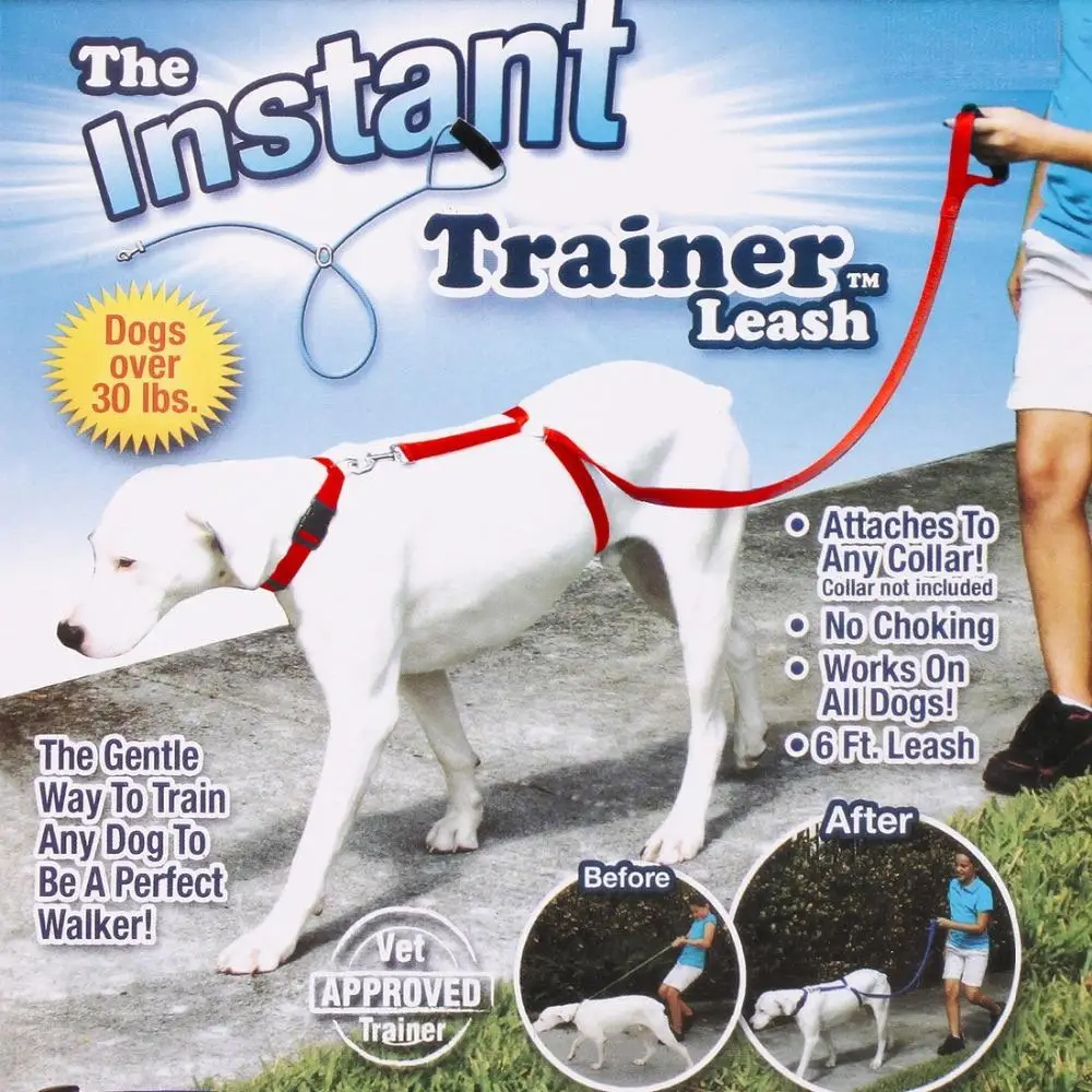 Instant Trainer Dog Leash Trains Dogs 30 Lbs Stop Pulling Tv Dogwalk