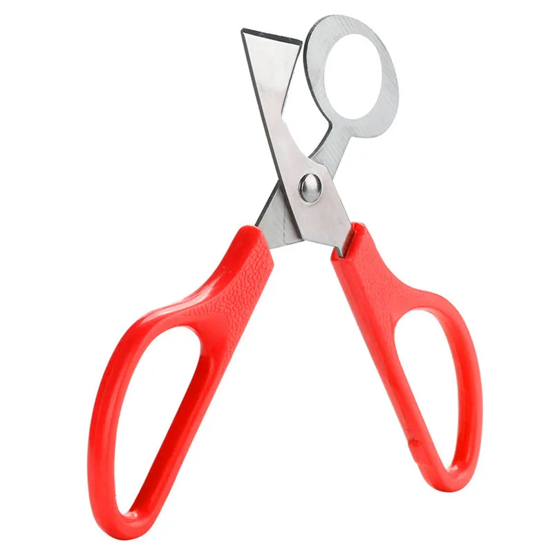 Pigeon Quail Egg Scissors Cracker Opener Cigar Cutter Stainless Steel Tool Kitchen Accessories Home Decor 30MR0107