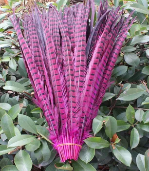 

Wholesale 50pcs. Beautiful rose pheasant feathers 16-18 inches / 40-45 cm, natural pheasant feather decorations