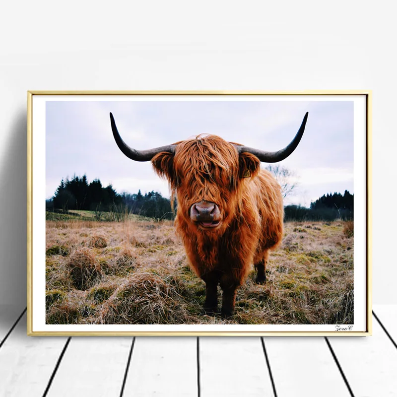 

Highland Cow Canvas Art Posters and Prints Wall Art Painting Wall Pictures for Living Room Decoration Freedom Street Walker