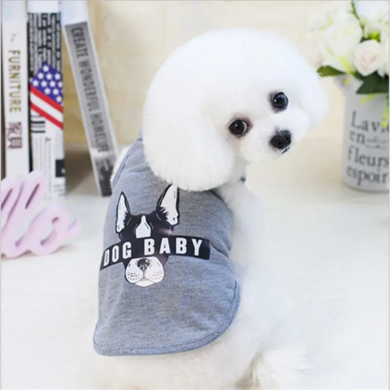 QQ20190301141427 - 