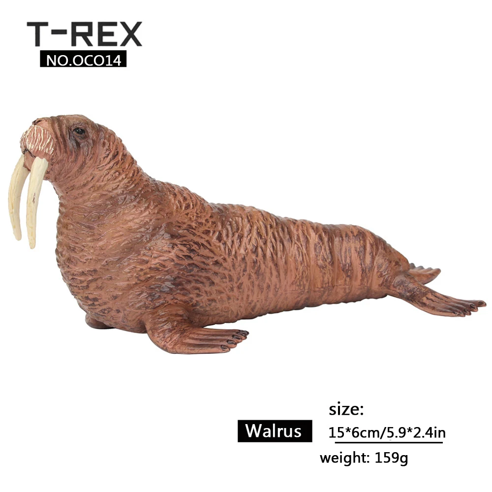 walrus