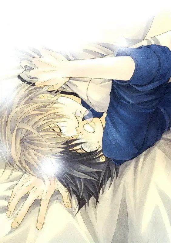 Junjou Romantica Manga