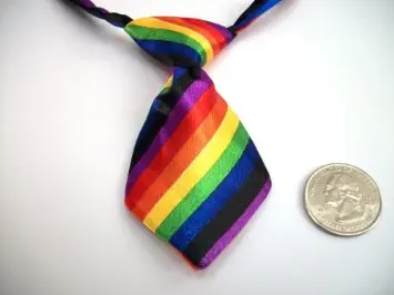 dog necktie rainbow