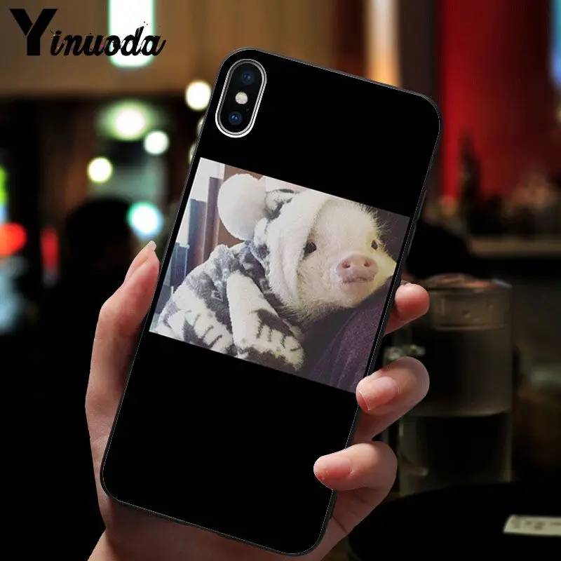 Cute Pig Print 
