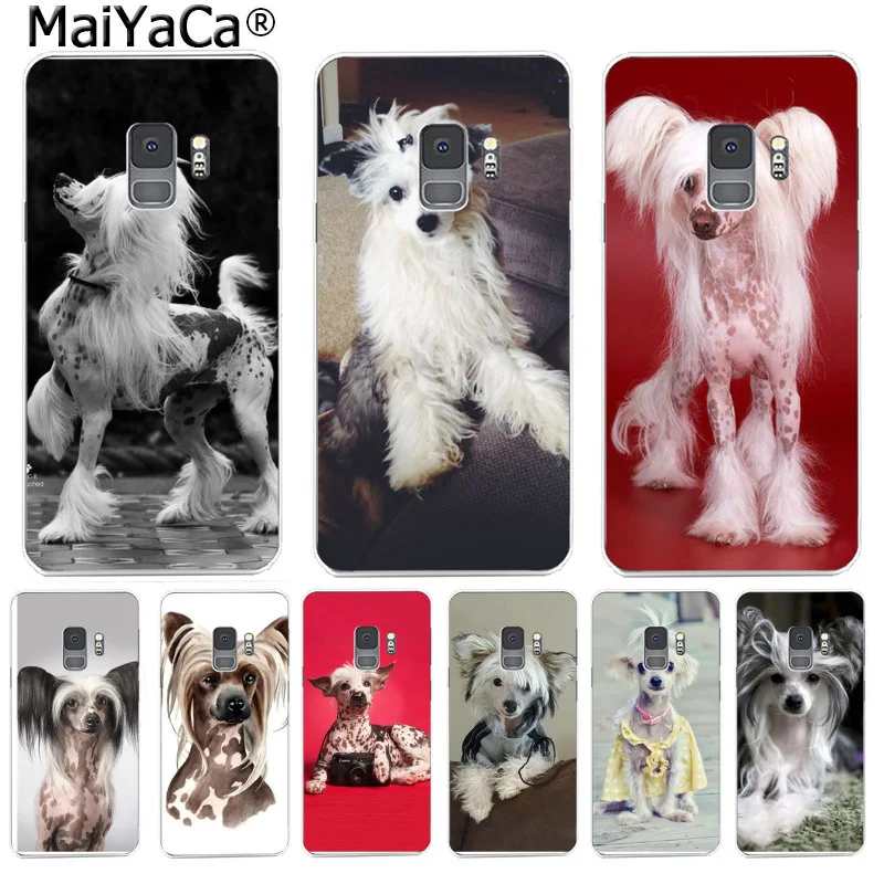

MaiYaCa Dog of breed Chinese crested Funny Cartoon Phone Cases for Samsung S9 S9 plus S5 S6 S6edge S6plus S7 S7edge S8 S8plus