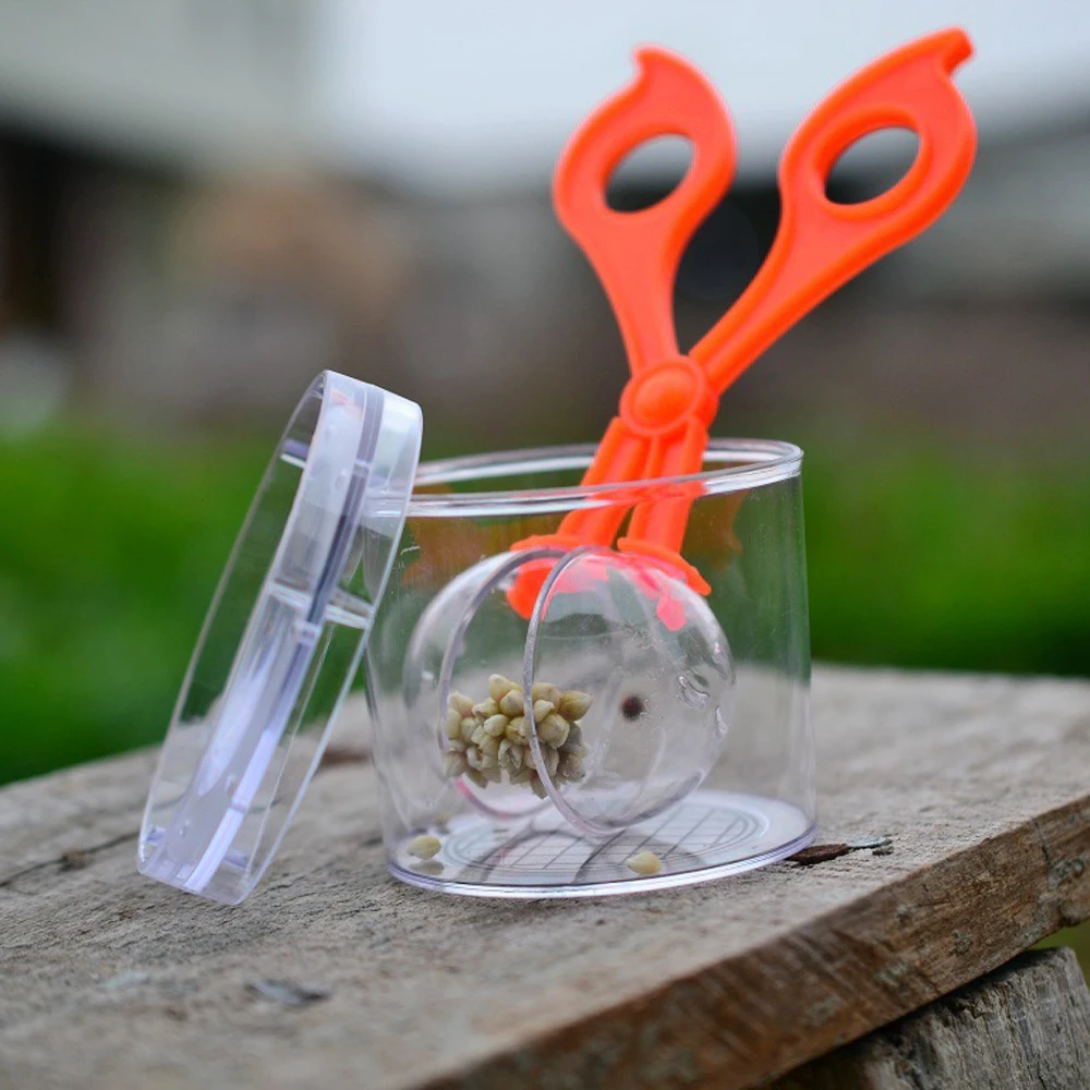 

Kids Outdoor Toys Plant Insect Biology Study Tool Set Plastic Scissor Clamp Tweezers Cute Nature Exploration Toy For Children