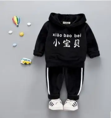 

Long-sleeved Hooded Children's Sweater Suit 2019 Autumn Winter New Plus Velvet Thickening Baby Boy Girl Clothes Set SY-F185207