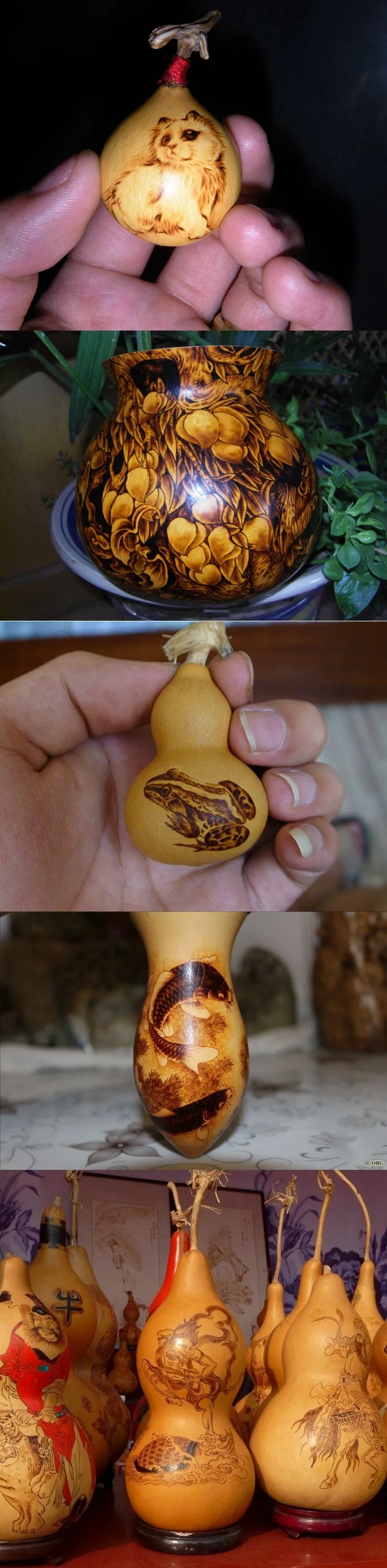 TB20NCogFXXXXXwXpXXXXXXXXXX_!!48432991 (1)