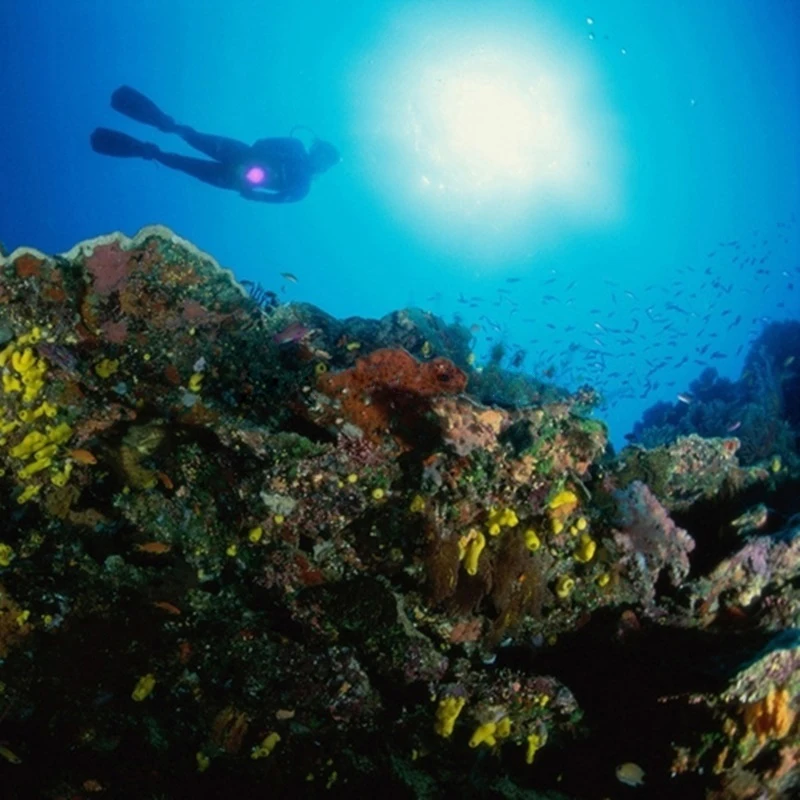 VA0122 (8)