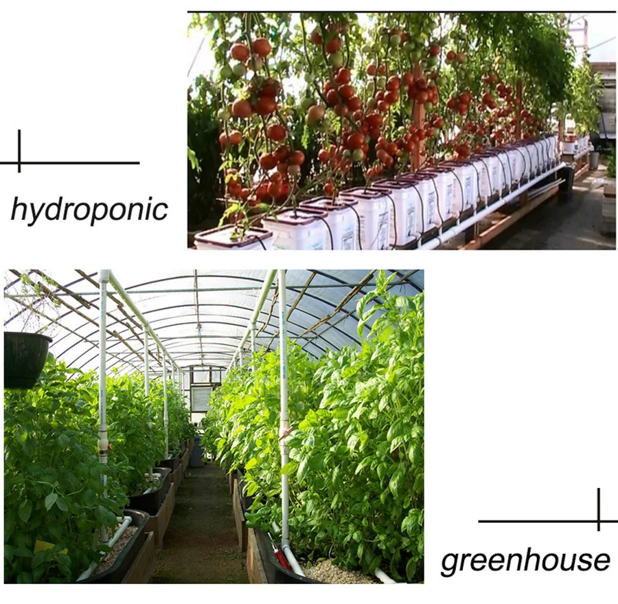 HTB1dSFASVXXXXbmXFXXq6xXFXXXP