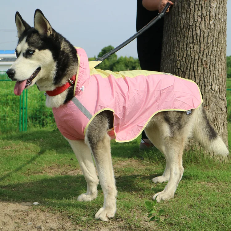 8970105428_1172365047
