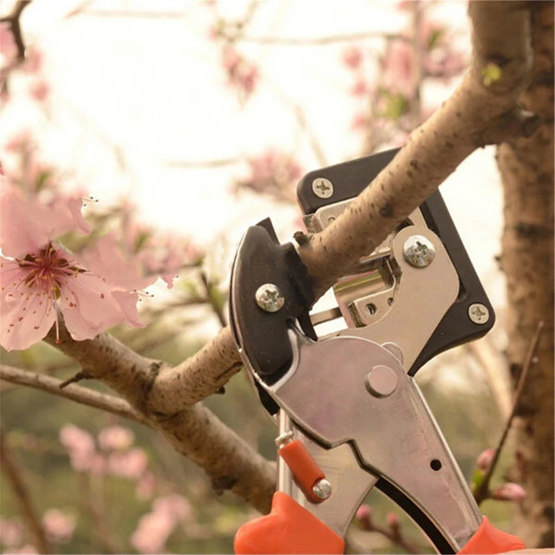 DWZ Fruit Tree Pro Carbon Steel Pruning Scissor Grafting Cutting Tool Garden