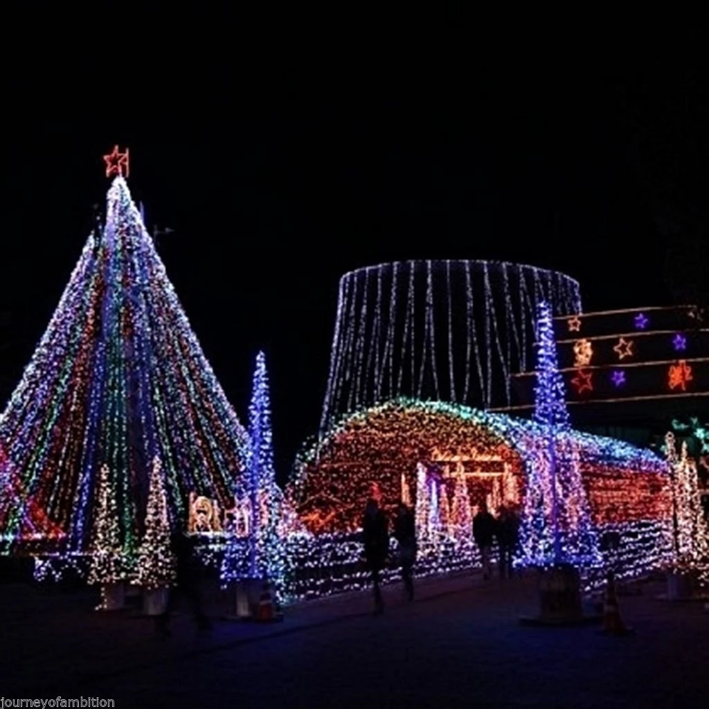 Multi-color 24V 500LED 100M String Fairy Wedding Light Xmas Party Garden Decor (4)
