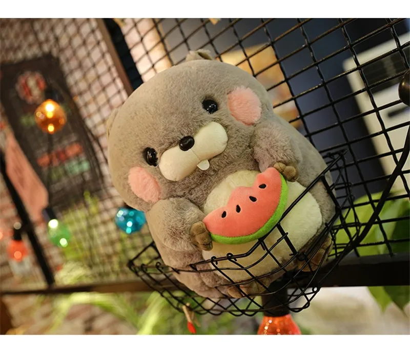 DOLLS (30)